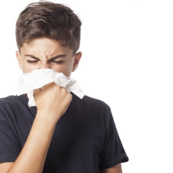 Sistema Inmunológico